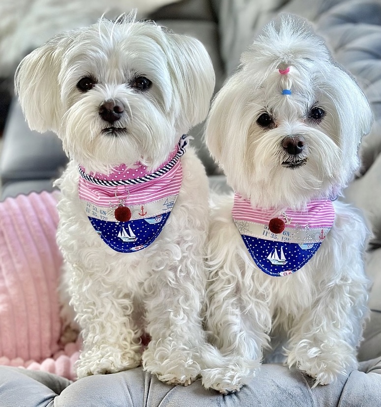 Bandana HOLIDAYS BY THE SEA – Bild 3