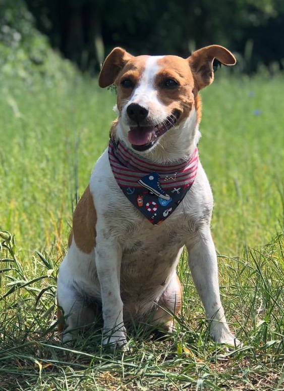 Bandana JOGGER – Bild 2