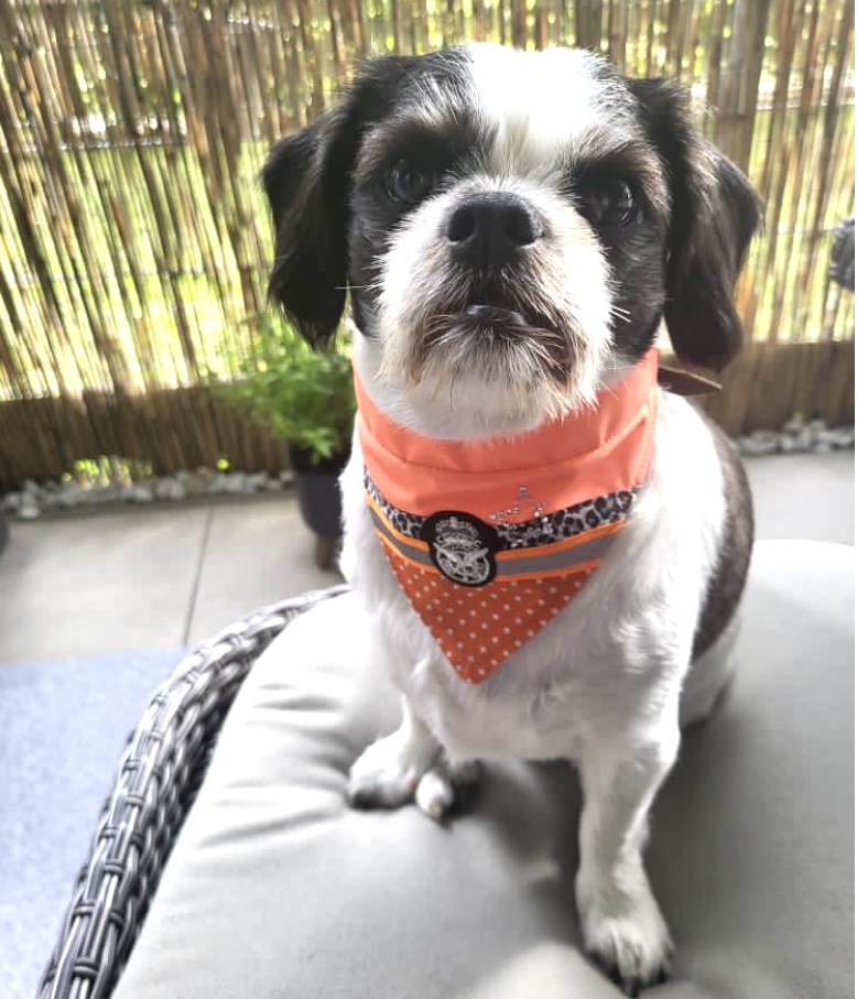 Bandana ORANGE REFLECTION – Bild 2