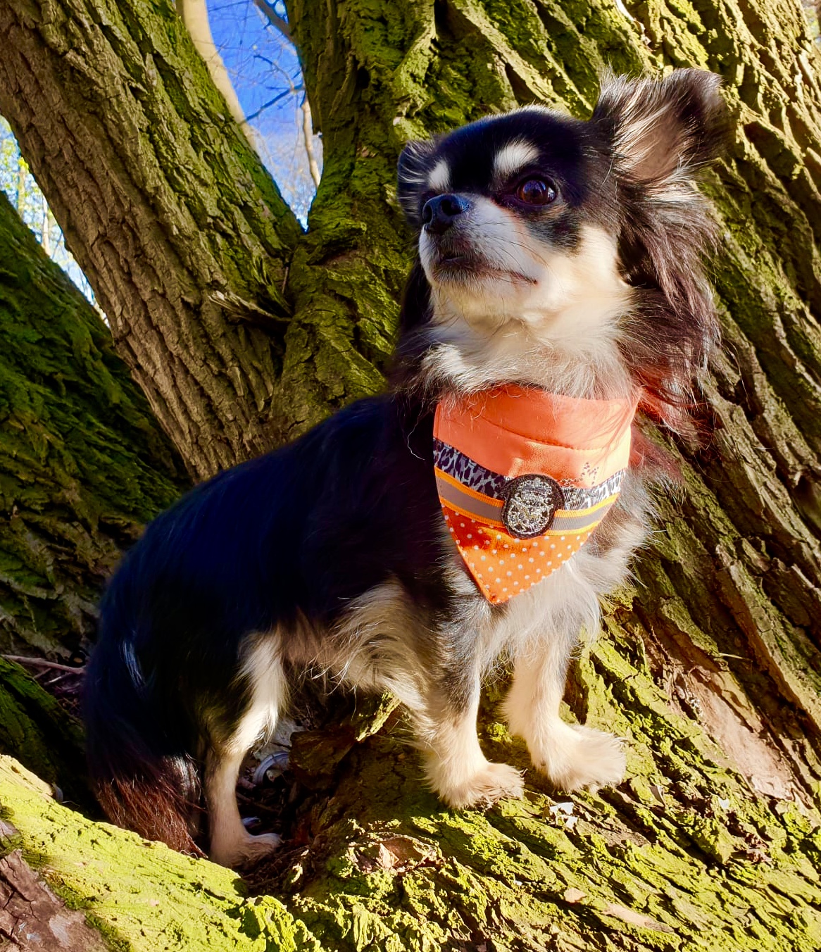 Bandana ORANGE REFLECTION – Bild 3