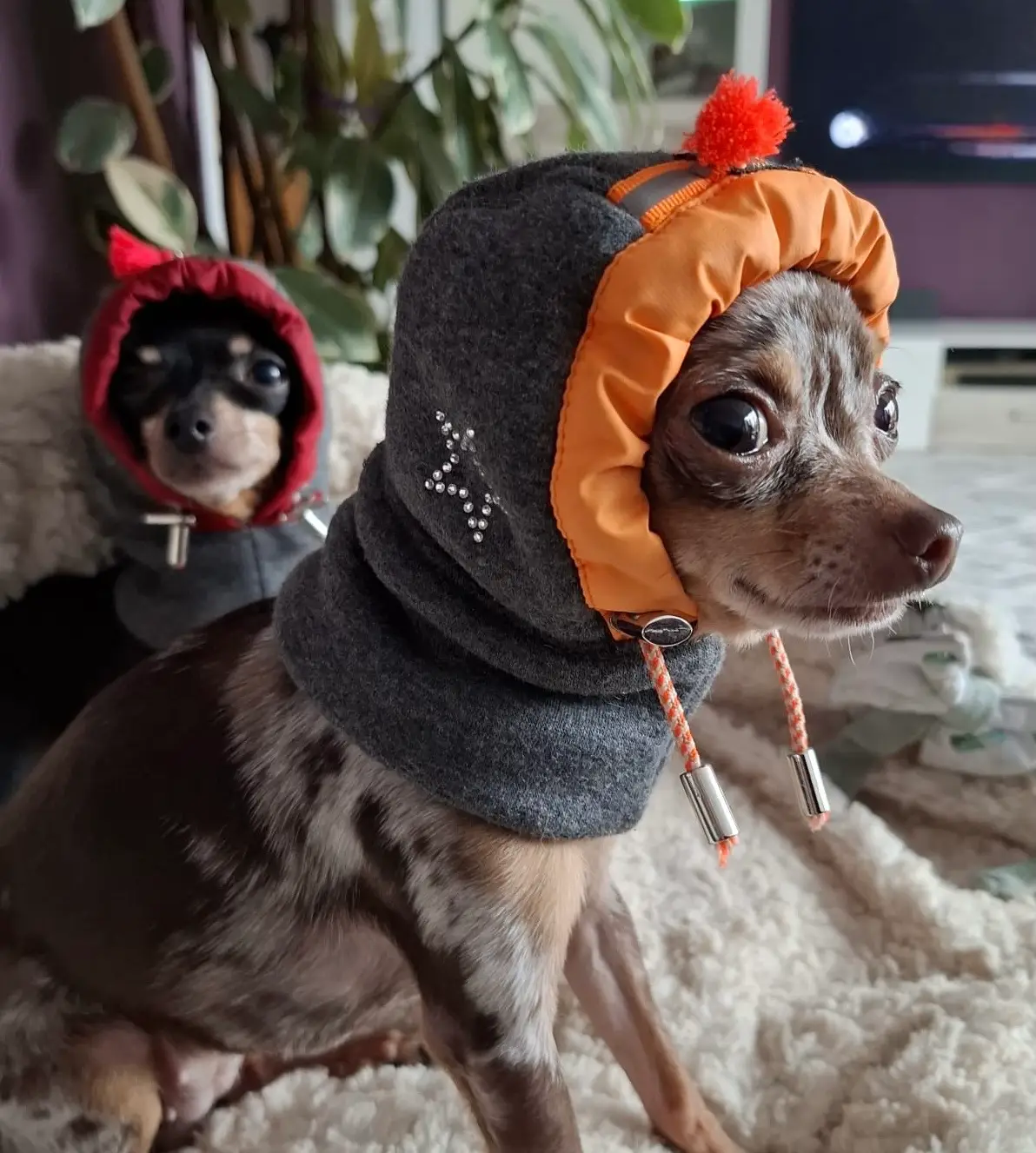 Hoody Cap LOVELY – Bild 6