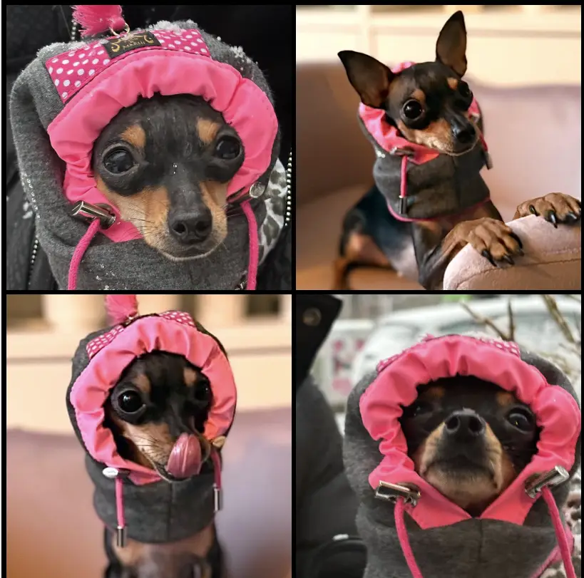 Hoody Cap LOVELY – Bild 8