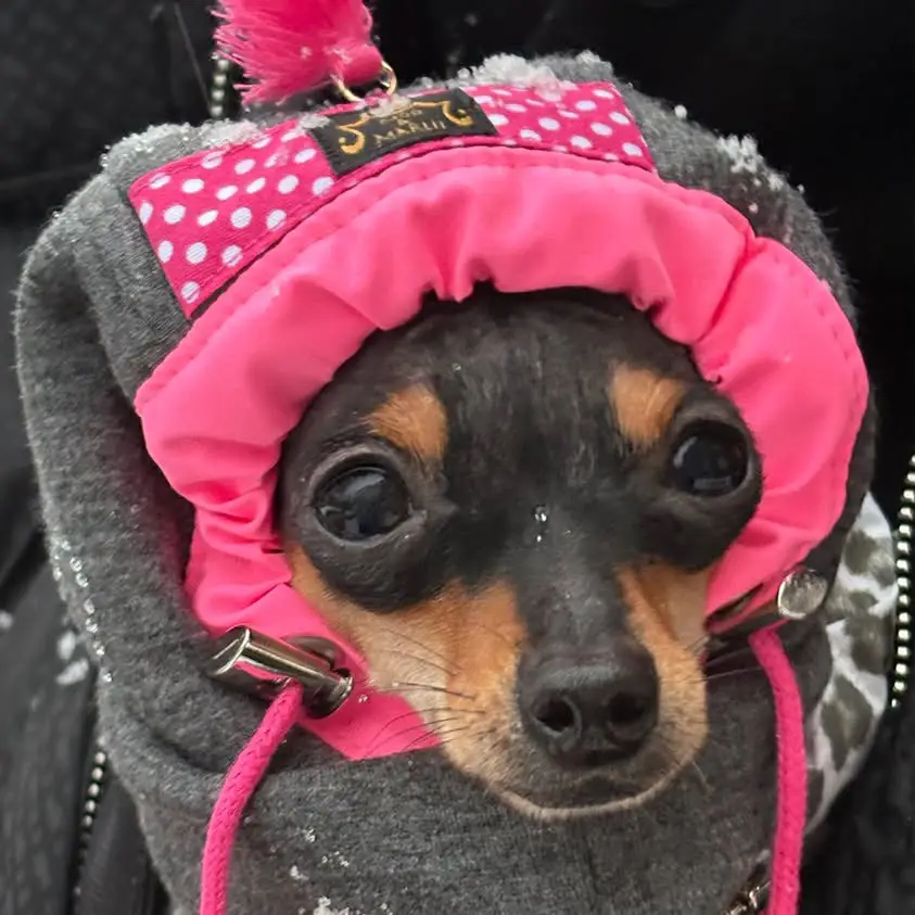 Hoody Cap LOVELY – Bild 7