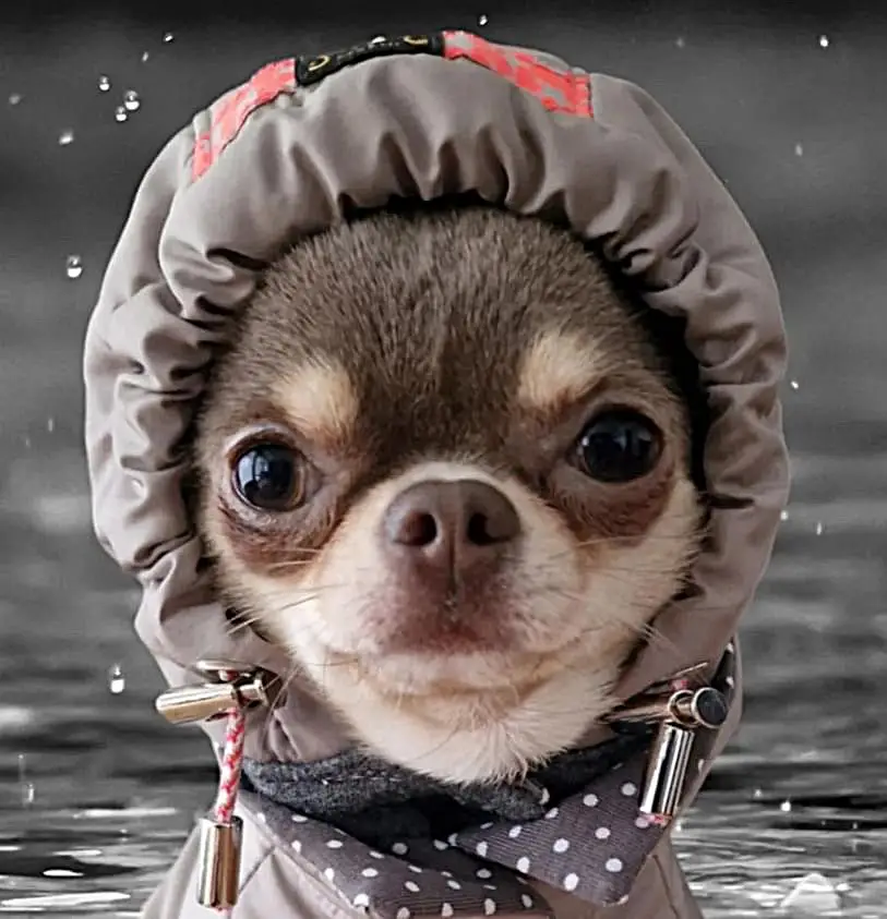 Hoody Cap LOVELY – Bild 4