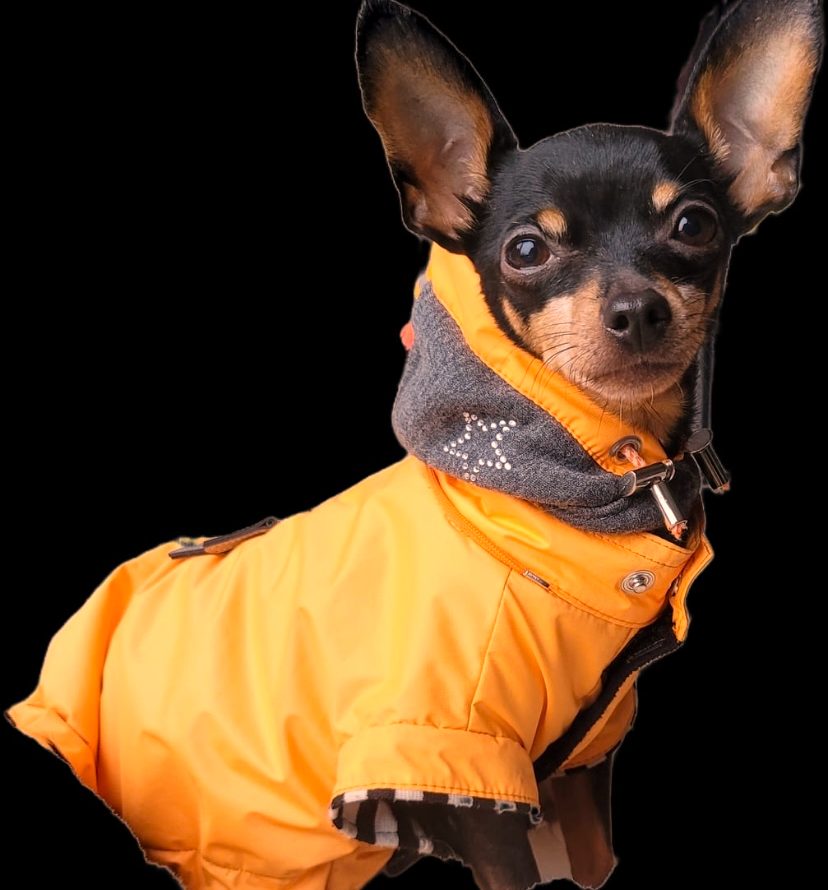 Regenparka RAINDROP HUNTER – Bild 5