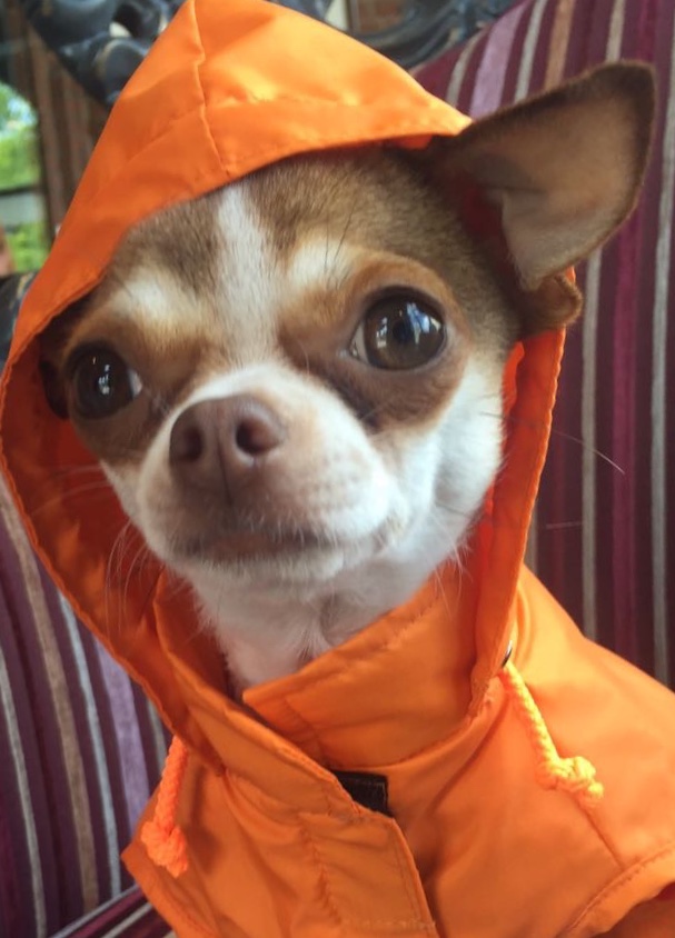 Regenparka RAINDROP HUNTER – Bild 10