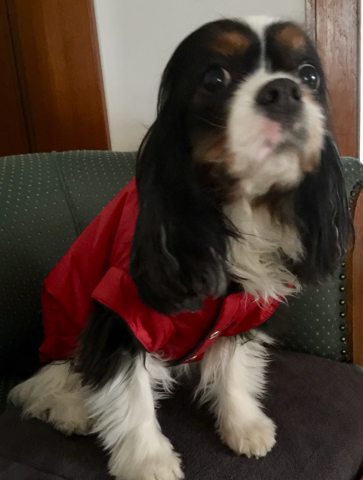 Regenparka RAINDROP HUNTER – Bild 6