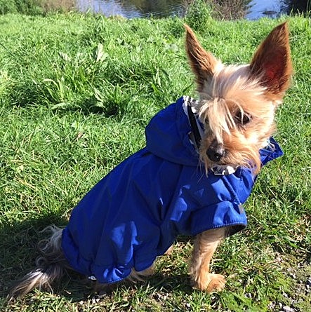 Regenparka RAINDROP HUNTER – Bild 9