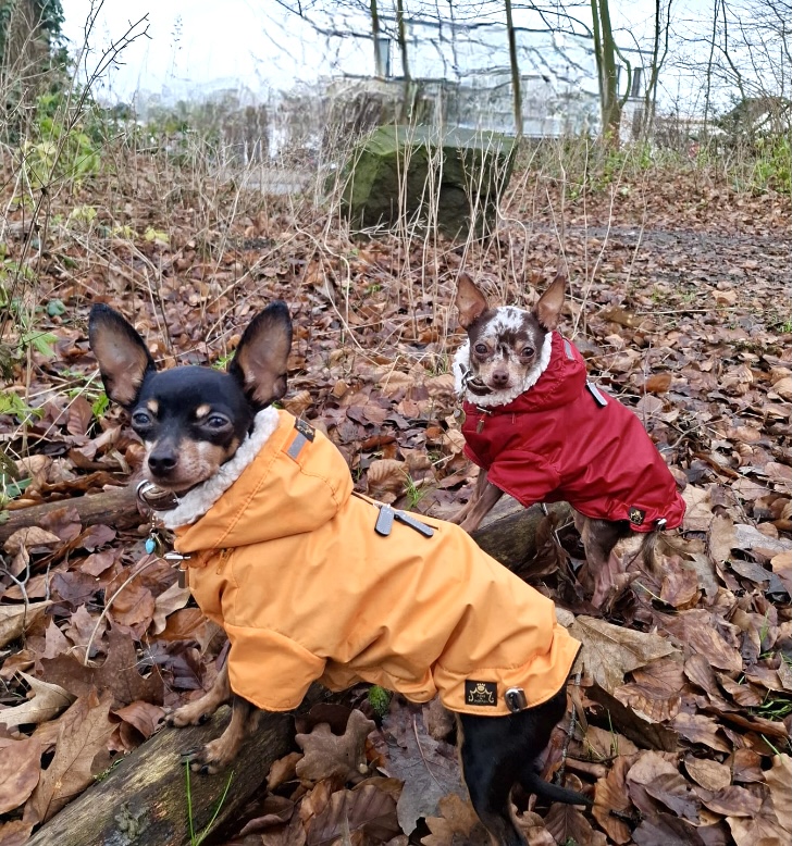 Regenparka RAINDROP HUNTER – Bild 8