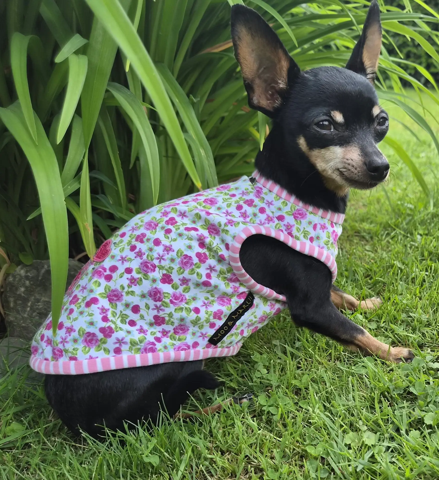 Mini SUN TOP BLOOMY GLAM – Bild 4
